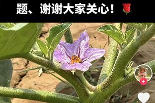 斯卢茨基：训练没强度意味着没质量，必须保持高强度、高节奏